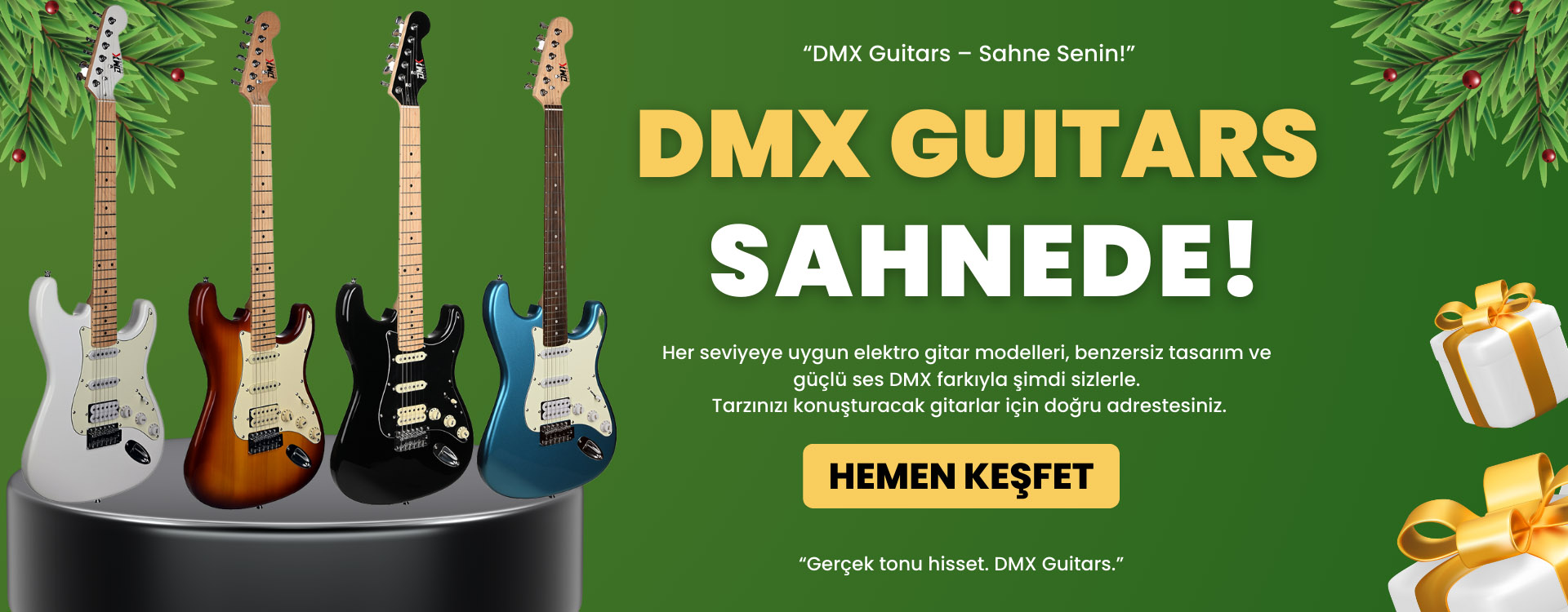 Dmx Guitars