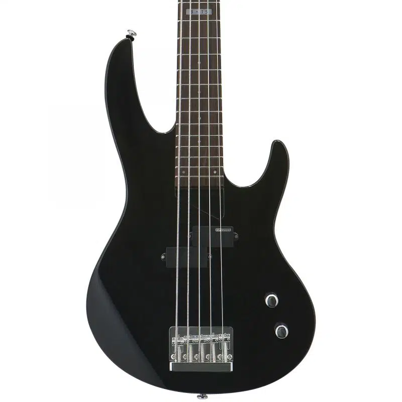 ESP LTD B-15 Kit Mat Siyah 5 Telli Bas Gitar