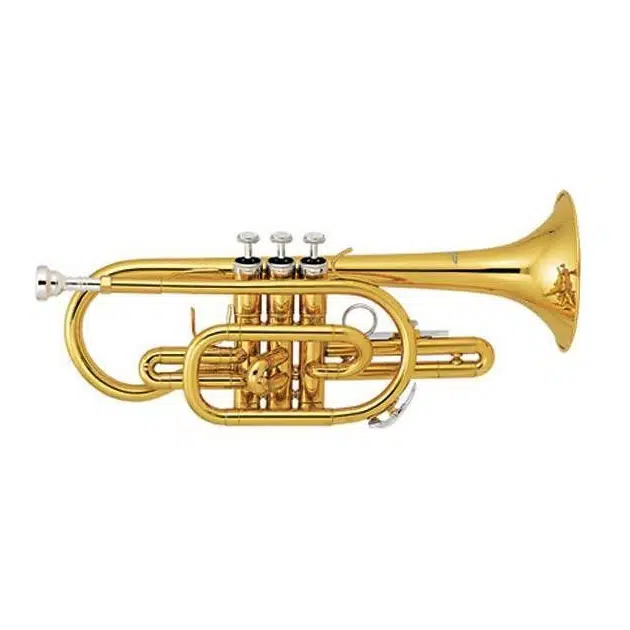Jinbao JBCR900L Kornet (Lacquer) Jinbao JBCR900L Kornet (Lacquer)