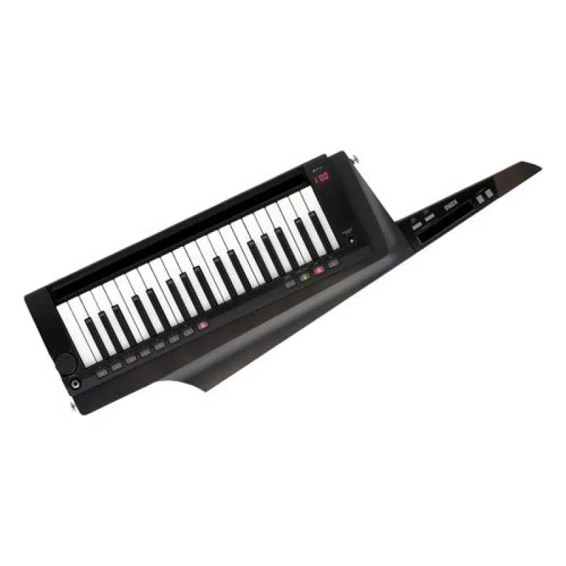 Korg RK-100S 2-BK