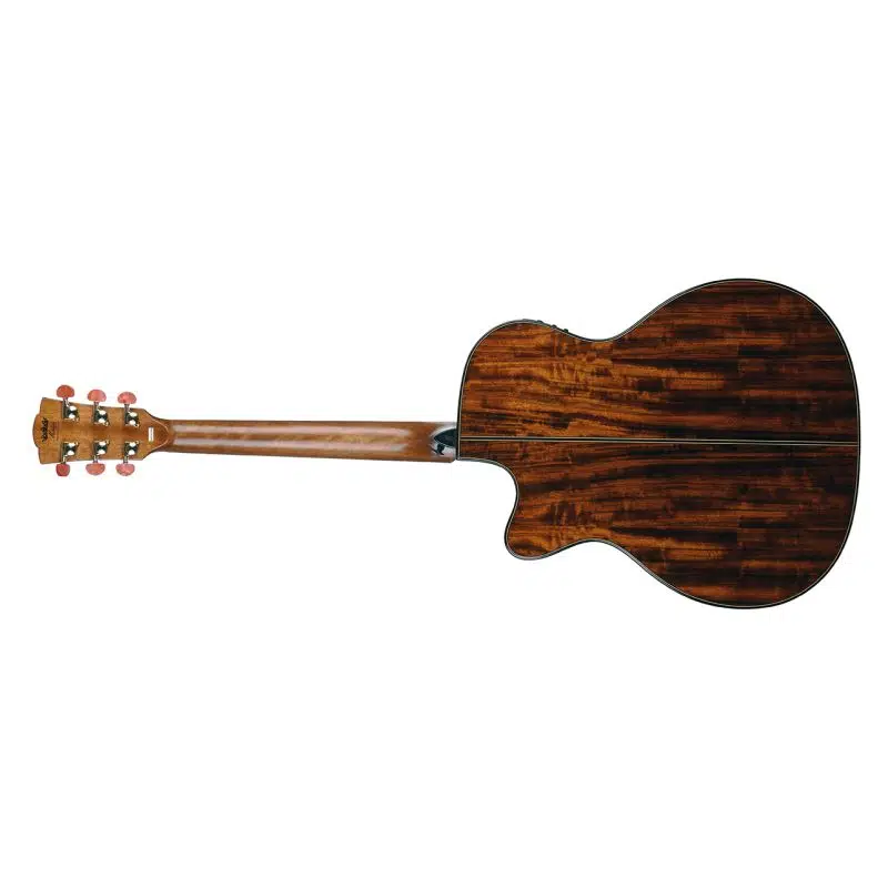 Merida DG-15FOGACES Diana Elektro Akustik Gitar Merida DG-15FOGACES Diana Elektro Akustik Gitar