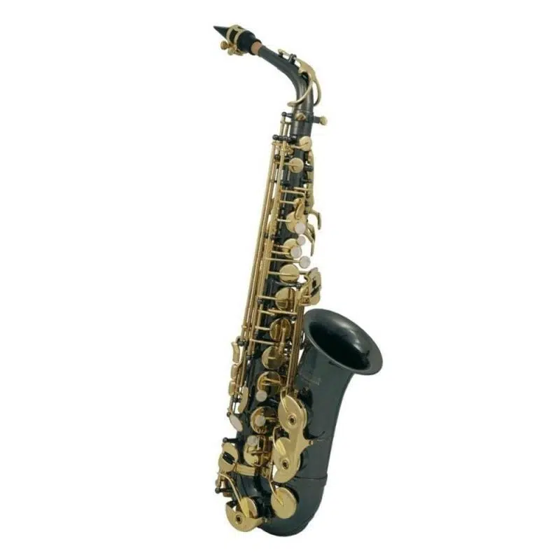 Roy Benson AS-202K Alto Saksafon Roy Benson AS-202K Alto Saksafon