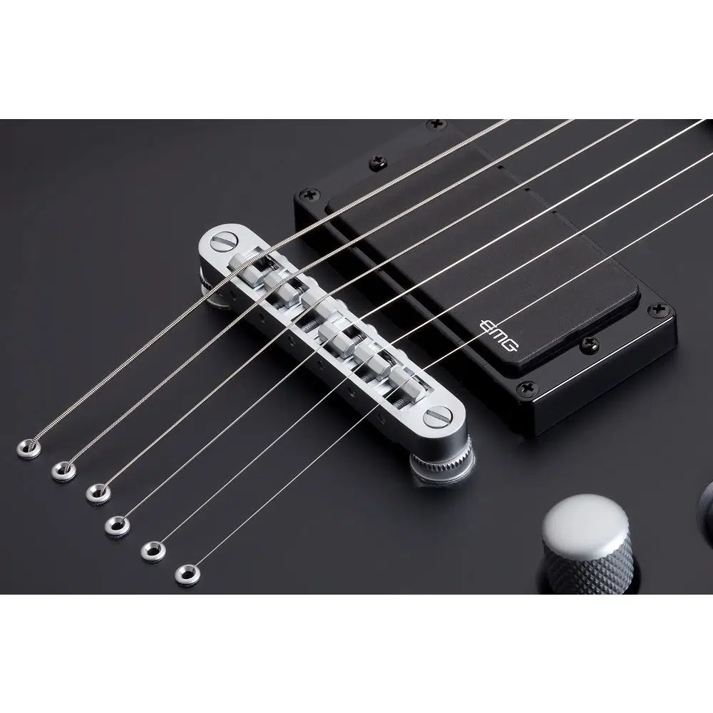 Schecter Damien Platinum-6 Elektro Gitar (Mat Siyah) Schecter Damien Platinum-6 Elektro Gitar (Mat Siyah)