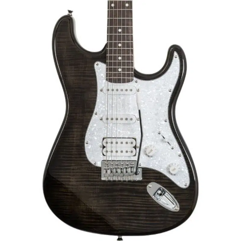 Washburn Sonamaster SDFTB Deluxe Elektro Gitar Washburn Sonamaster SDFTB Deluxe Elektro Gitar